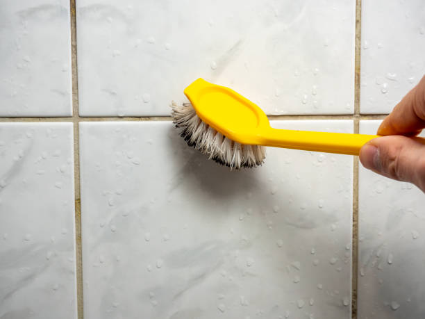 Best Black Mold Removal  in Kendale Lakes, FL