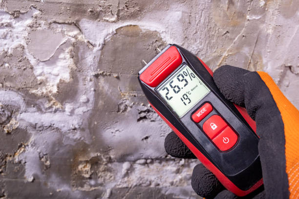 Best Mold Removal Process  in Kendale Lakes, FL